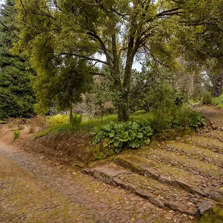 Casa Da Cebola By An Island *