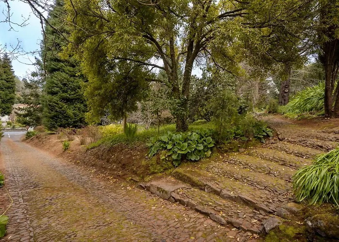 Casa Da Cebola By An Island *